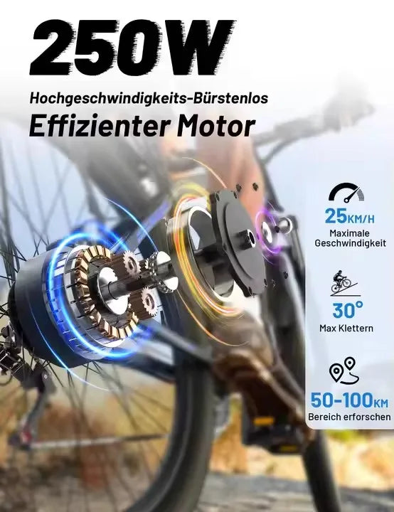 VTT électrique DUOTTS C29