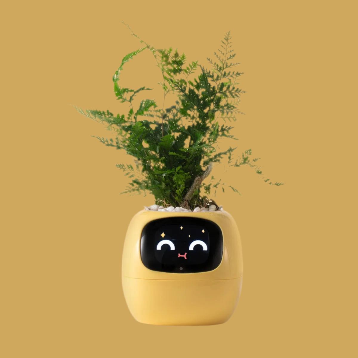 Tuya Ivy smart planter