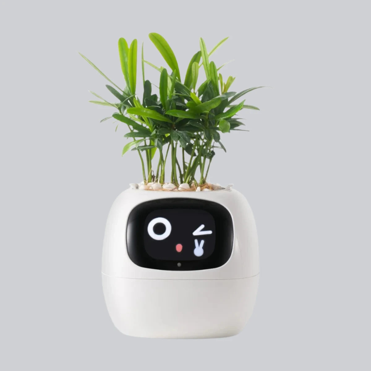 S5e900550d9bd4be29666657be074cc695