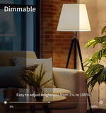 Cozylife 220V 110V WiFi Smart LED Bulb 12W 15W 20W E27 Cold & Warm Indoor Light  Alexa Google Home Together APP Timing Dimming