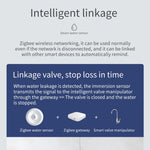 Zigbee Water Sensor Flood Leak Detector App Remote Monitoring for Kitchen/Bathroom Support Home Assistant Zigbee2mqtt