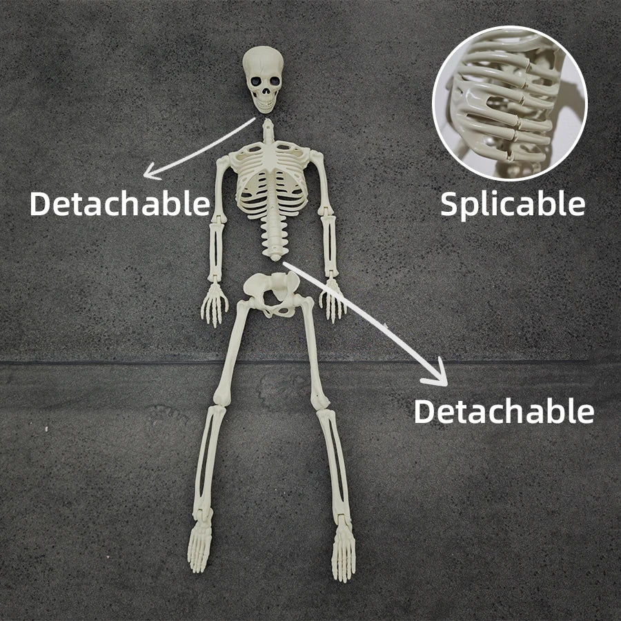 Full Life Size Home Evil Party Decoration Horror Scary Movable Big Skull 90CM Halloween Movable Skeleton Halloween Ornament Toys
