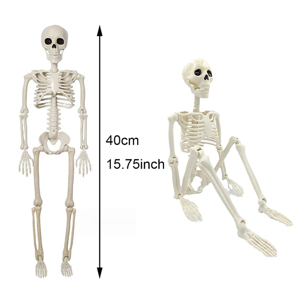 Halloween Decorations Skeleton,Posable Human Shape Skeleton,Halloween Fake Bone Horror Decoration