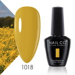 NAILCO 15ml Top Coat And Base Coat Art Design Gel Nail Polish Top Base Coat UV LED Soak Off Gel Nail Varnish