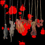 Halloween Horror Hanging Pendant Fake Dead Mouse Bat Broken Hand Feet Halloween Party Home Haunted House Scary Decoration Props