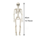Halloween Decorations Skeleton,Posable Human Shape Skeleton,Halloween Fake Bone Horror Decoration