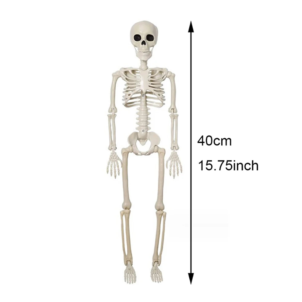 Halloween Decorations Skeleton,Posable Human Shape Skeleton,Halloween Fake Bone Horror Decoration